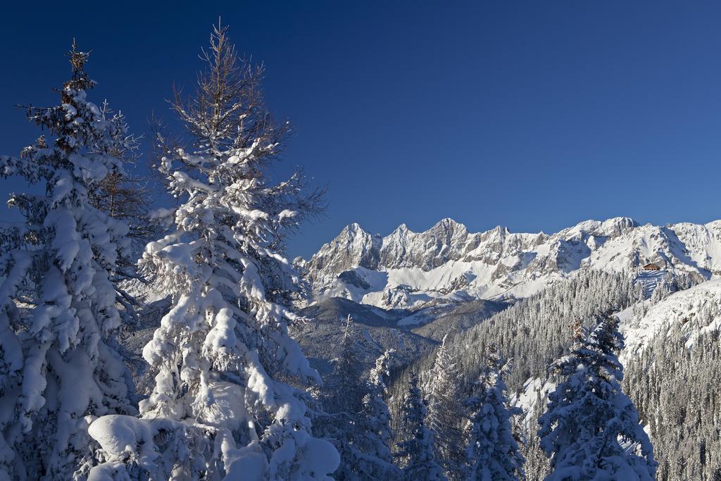 Alpenblick Apartments Ramsau am Dachstein Exterior foto